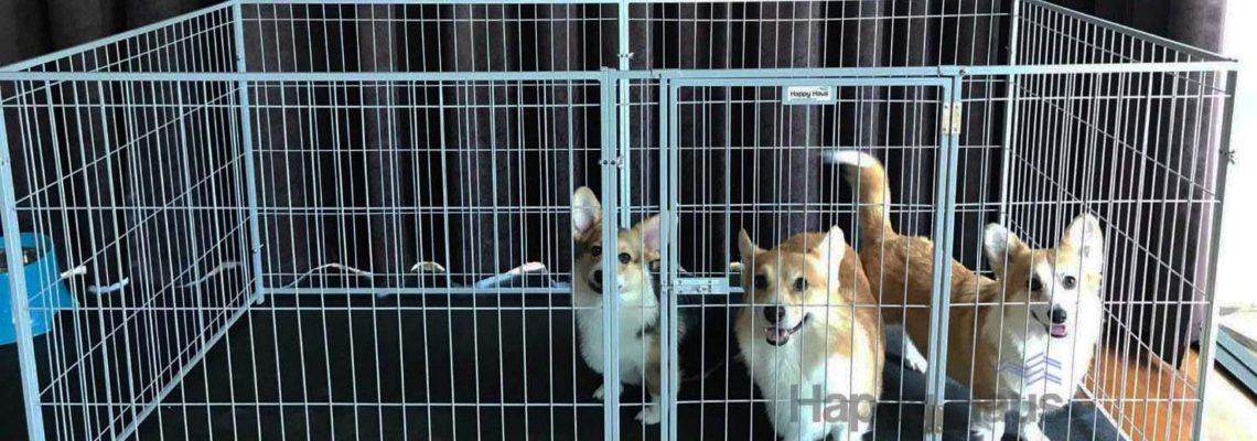 รีวิวคอกสุนัขแฮปปี้เฮาส์