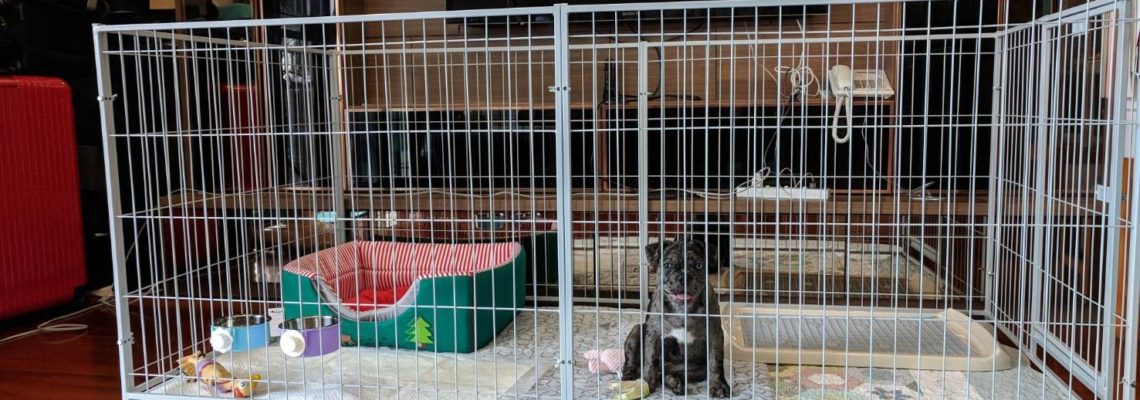 รีวิวคอกสุนัข  M กว้าง