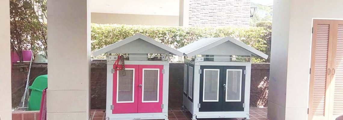 รีวิวบ้านสุนัขไซส์ M สีชมพูและสีดำค่ะ