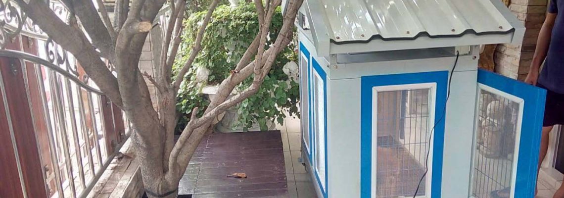 รีวิวบ้านสุนัขไซส์ S สีฟ้าค่า