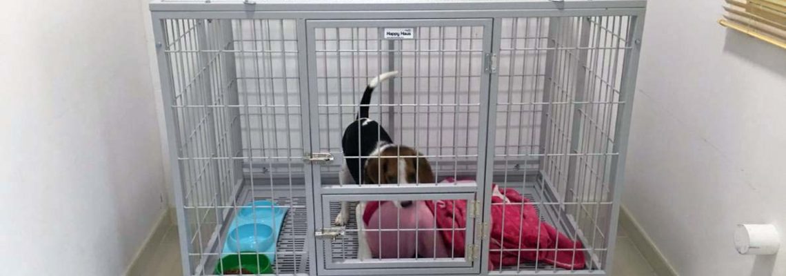 รีวิวกรงสุนัขแฮปปี้เฮาส์