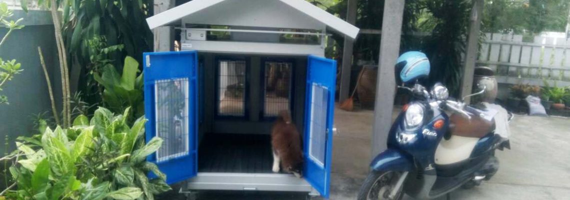 รีวิวบ้านสุนัขไซส์ L สีฟ้าค่า