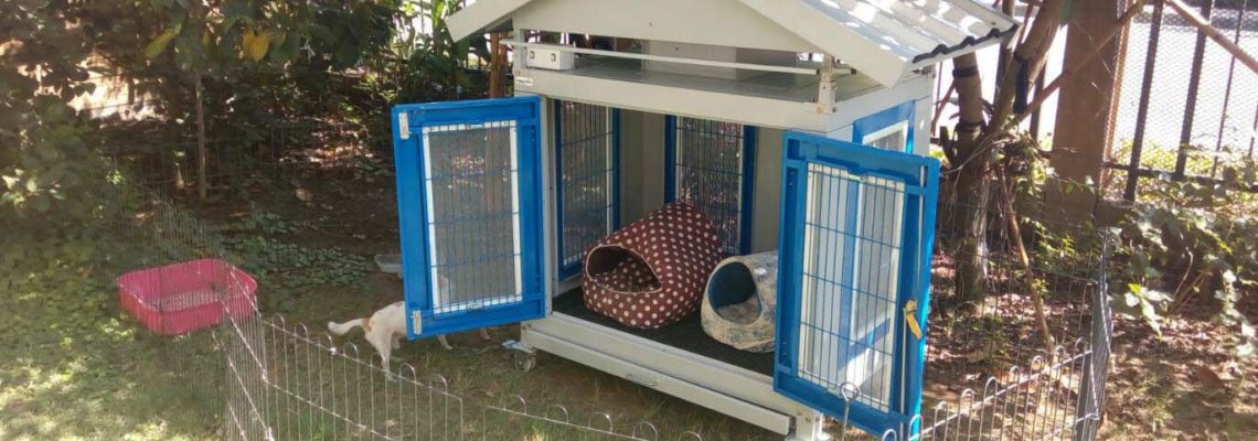 รีวิวบ้านสุนัขไซส์ S สีฟ้า ชิวาว่า