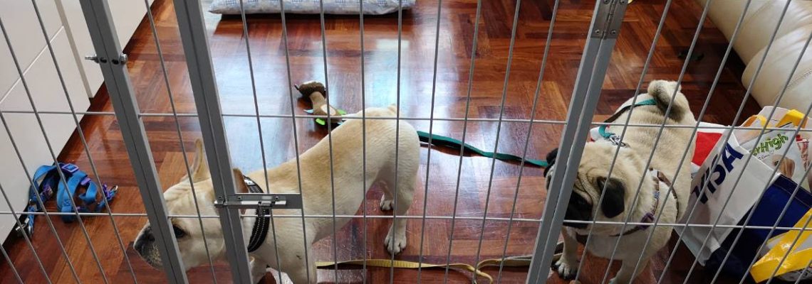 รีวิวคอกสุนัขแฮปปี้เฮาส์ S เดี่ยว