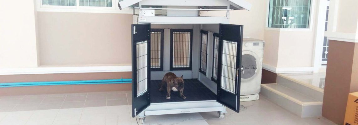 รีวิวบ้านสุนัขไซส์ M