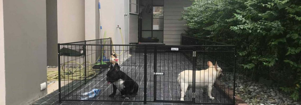 รีวิวคอกสุนัขแฮปปี้เฮาส์ S ดัดแปลงเป็นรั้วกั้น