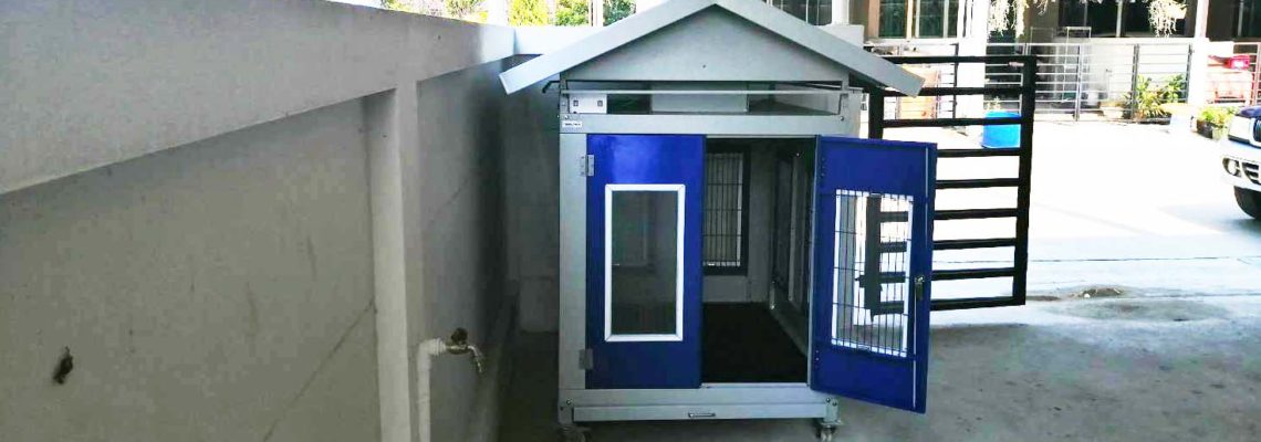 รีวิวบ้านสุนัขไซส์ L สีฟ้าสดใส