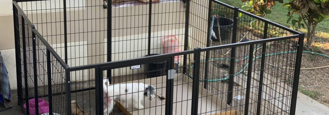 รีวิวคอกสุนัขแฮปปี้เฮาส์ L 2X2 เมตร