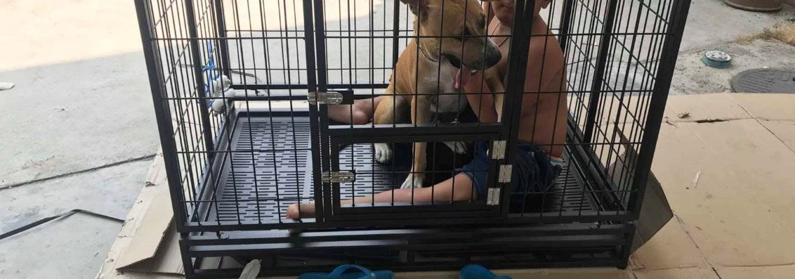 รีวิวกรงสุนัข L ดำพับได้