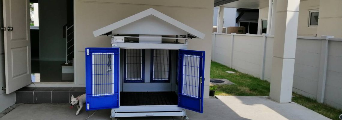 รีวิวบ้านสุนัข M สีฟ้า