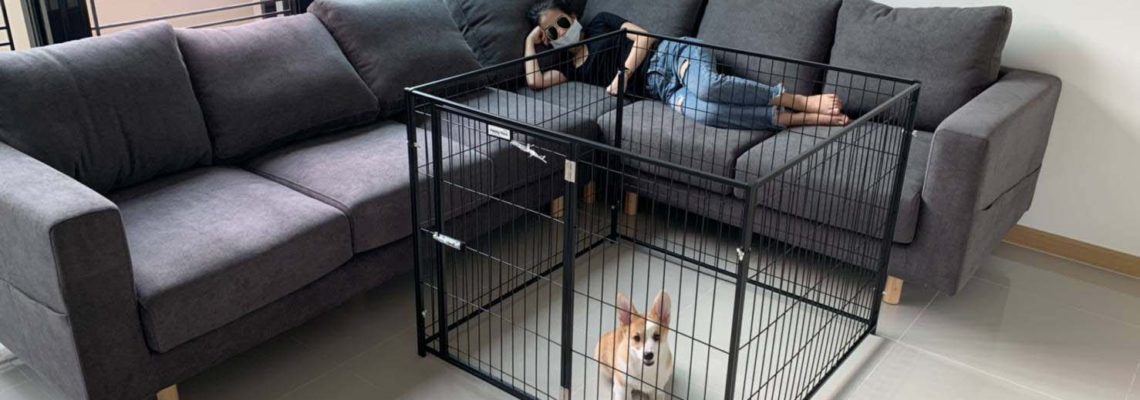 รีวิวคอกสุนัข M เดี่ยวสีดำ