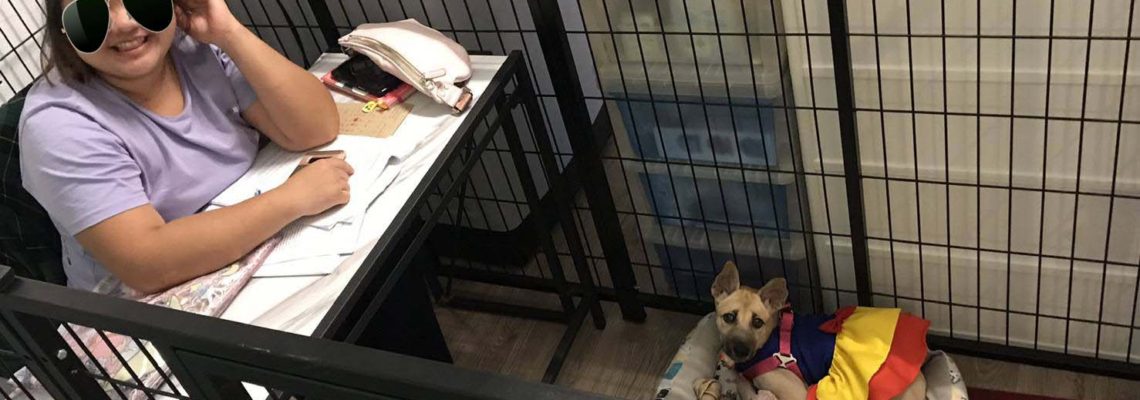 รีวิวคอกสุนัข L กว้างสีดำ