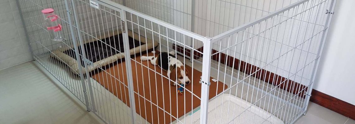 รีวิวคอกสุนัข M กว้างสีเทาอ่อน