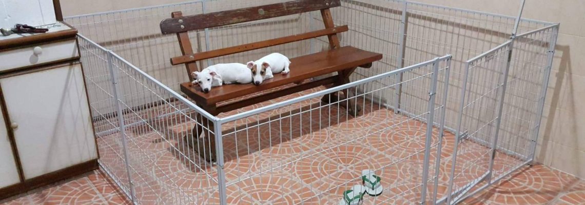 รีวิวคอกสุนัข M กว้าง 2X2