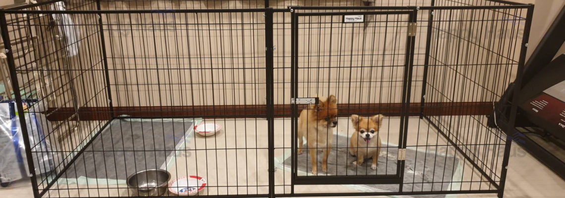 รีวิวคอกสุนัข M กว้างสีดำ