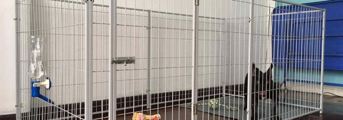 รีวิวคอกสุนัข M กว้าง