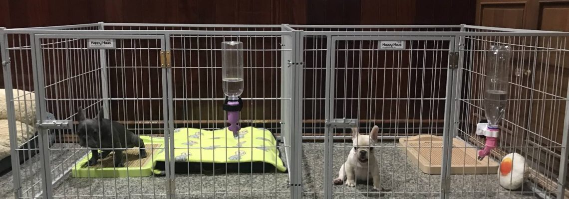 รีวิวคอกสุนัข S แฝดสีเทาอ่อน