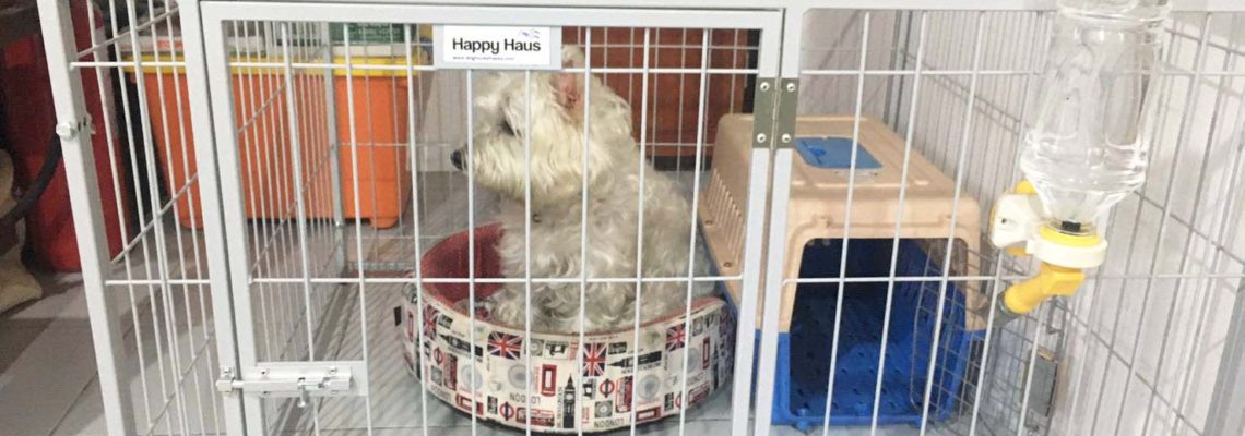 รีวิวคอกสุนัข S เดี่ยวสีเทาอ่อน