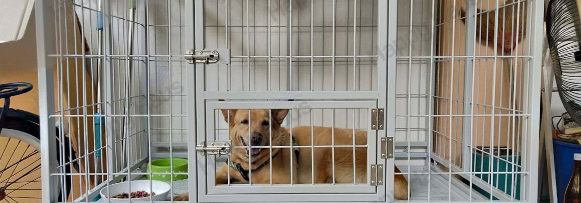 รีวิวกรงสุนัข M พับได้สีเทาอ่อน