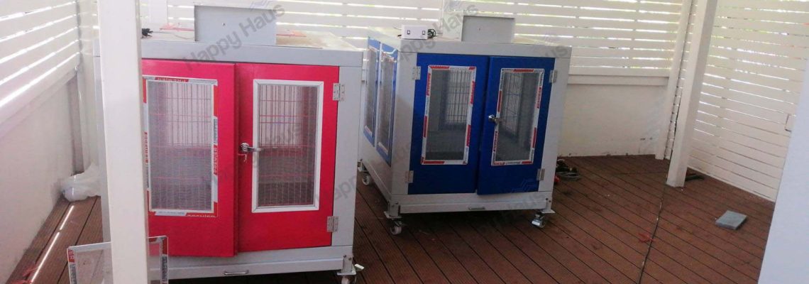 รีวิวบ้านสุนัข M สีฟ้าสีชมพู