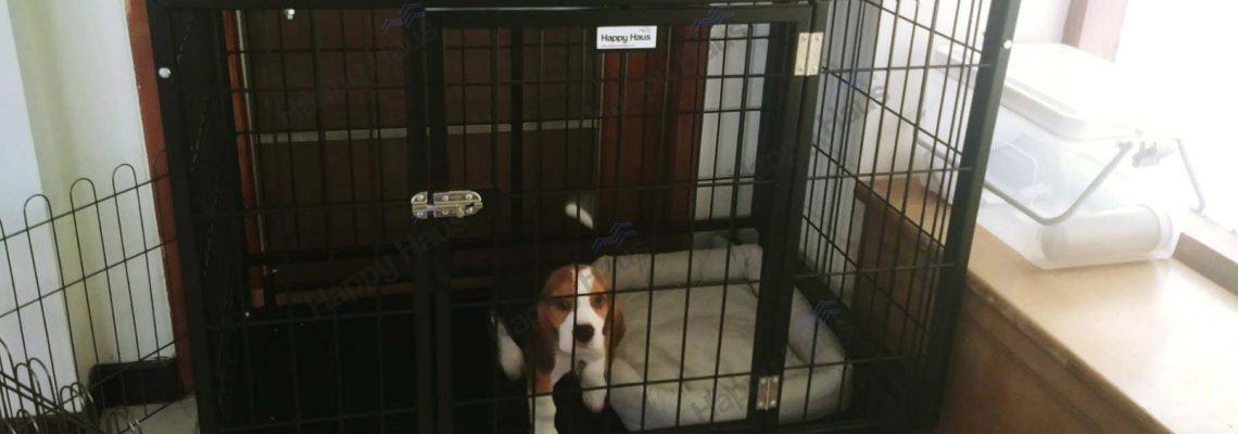 รีวิวกรงสุนัข M พับได้สีดำ