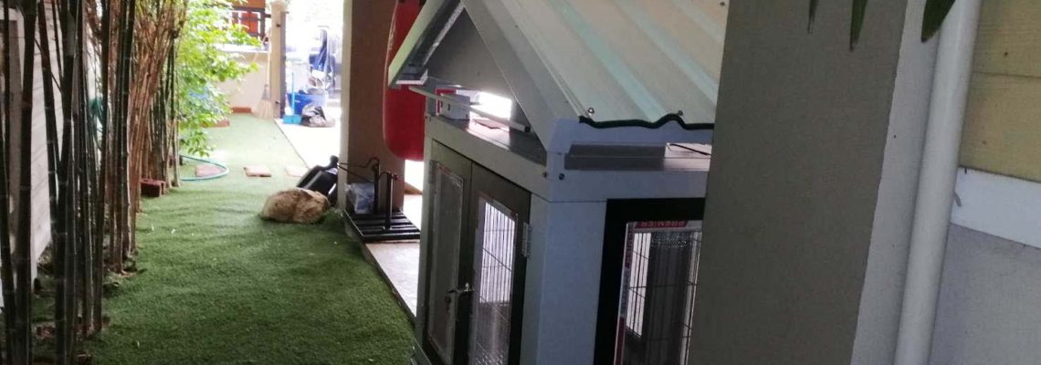 รีวิวบ้านสุนัข S สีดำ