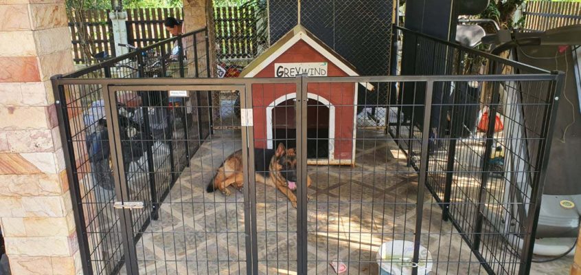รีวิวคอกสุนัข L กว้างแฮปปี้เฮาส์ขนาด 3X2 เมตรล้อมเป็นรั้ว
