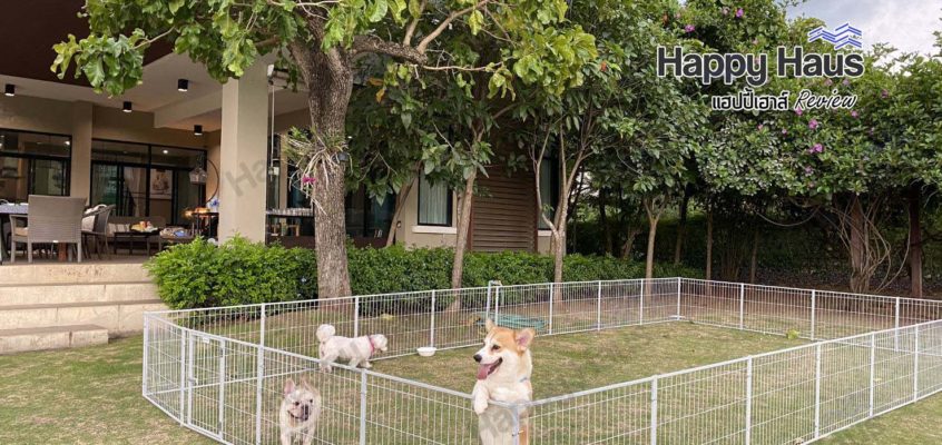 รีวิวการจัดพื้นที่คอกสุนัขในสวน คอกสุนัขแฮปปี้เฮาส์ไซส์ S สูง 60 ซม.