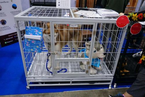 กรงสุนัขไซส์ L แบบพับได้